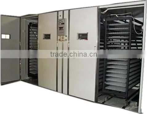 16896 Egg Incubator Professional Automatic Egg Incubator
