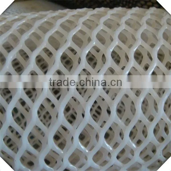 QY Hot Sale Plastic Wire Mesh / Plastic Chicken Wire Mesh Factory photo-5