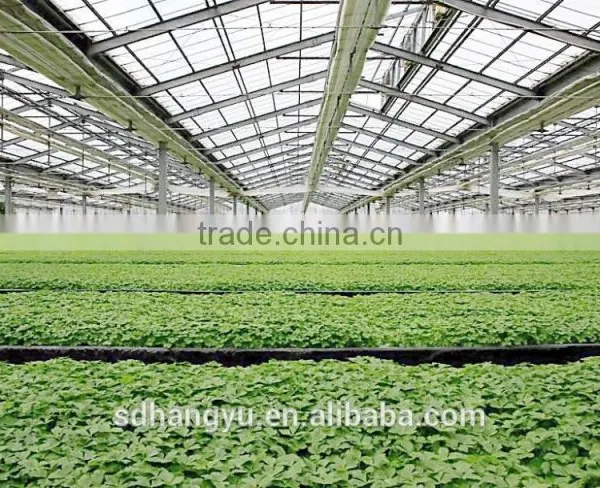 Commercial Greenhouse For Mushroom Vegetable photo-6