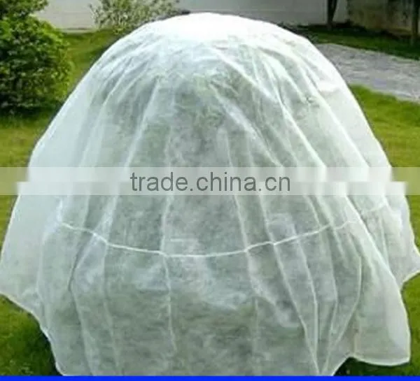 Spunbond Pp Agriculture Nonwoven Fabric Roll For Seeding Bag photo-3