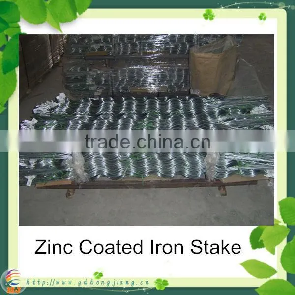 Tomato Plant Spiral Support Stakes