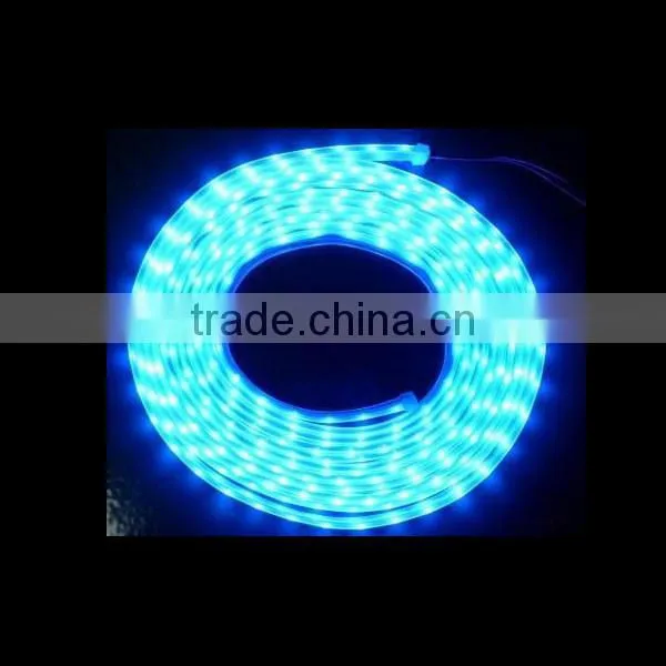 People Like and Hot Sale Christmas Light LED Rope Light LED Strip Light for Outdoor photo-6