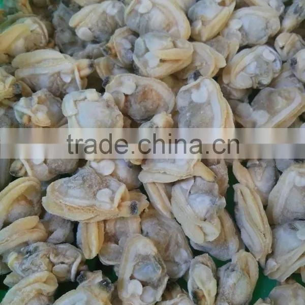 New Landing Frozen Boiled Hot Sale IQF Clam Meat Without Sand photo-3