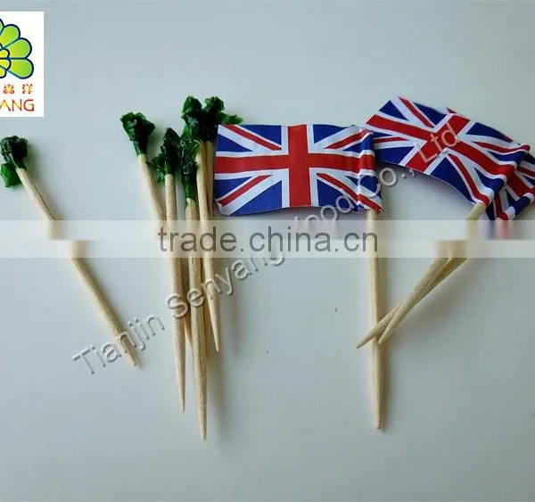 Disposable Flavored Single Packed Dental Floss Toothpicks