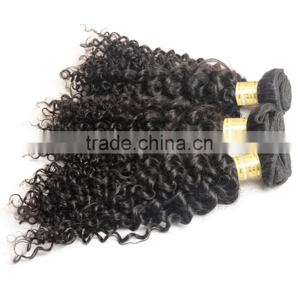 Fast Delivery Online Shop 100% Unprocessed Wholesale Tangle Free No Shedding Curly Raw Virgin Indian Hair photo-2
