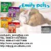 Sell Hamster Bedding Sand, Chinchilla Bedding Sand,natural Sand,small Animal Accessories, Pet Products,pet Toilet&cleaning