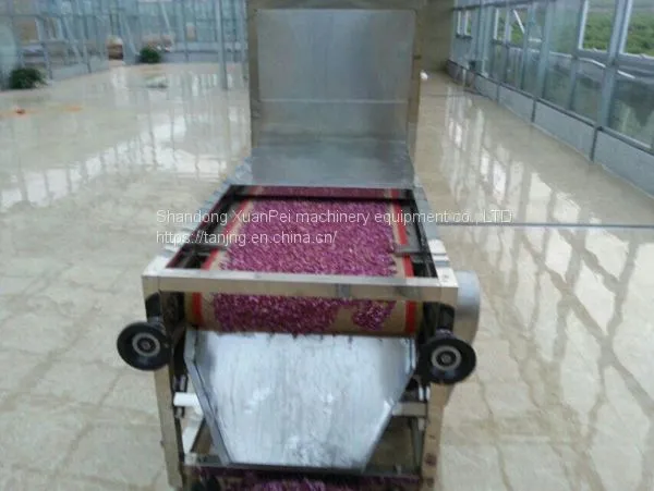 Flower Drying Equipment photo-2