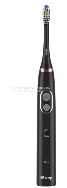 Cheap Battery Powered Sonic Electric Toothbrush With LED Display
