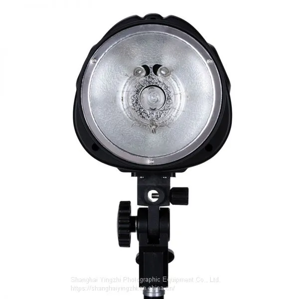 Smart Series Plug-in Flash Tube Studio Flash Godox Smart 250SDI 250WS photo-3