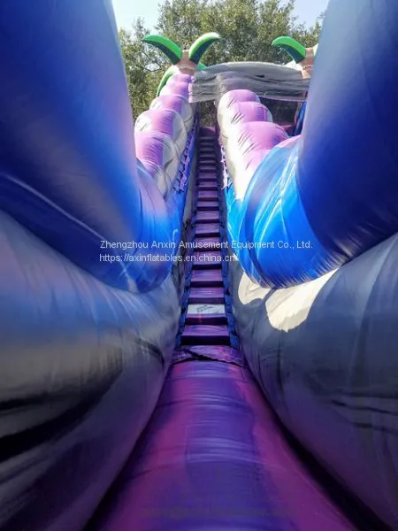 Inflatable Slip and Slide Inflatable Water Slide Axs-17 photo-3
