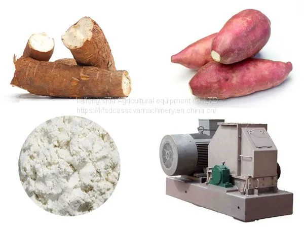 Large potato starch production process