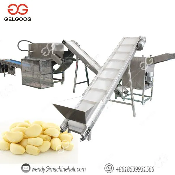 Garlic Peeler Industrial Garlic Peeling Machine Garlic Peeling Line With Washing Peeling Packing photo-4