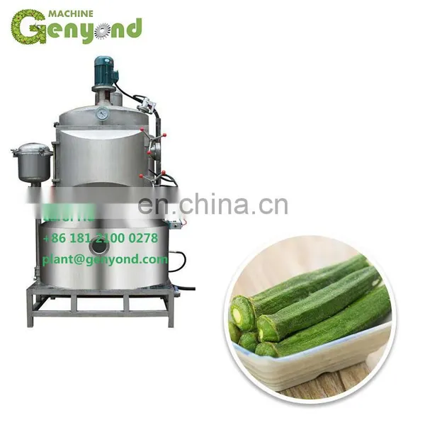 Small Vacuum Deep Fryer for Fruit and Vegetables photo-4