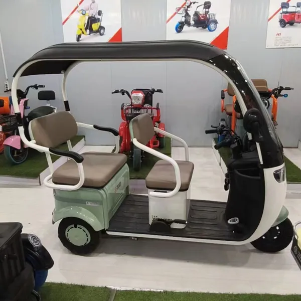 New Electric Tricycle Adults e Trike 3 Wheel Cargo Bike Passenger Motorcycle Adult Electric Tricycles With Roof photo-4