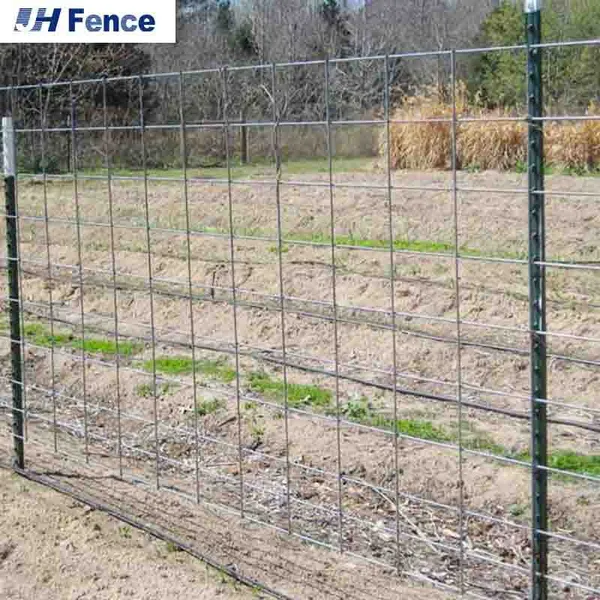 Factory Wholesale Green Metal USA Farm Heavy Studded Steel T Fence Post 7 FT 1.25 Lb. T-Post photo-6