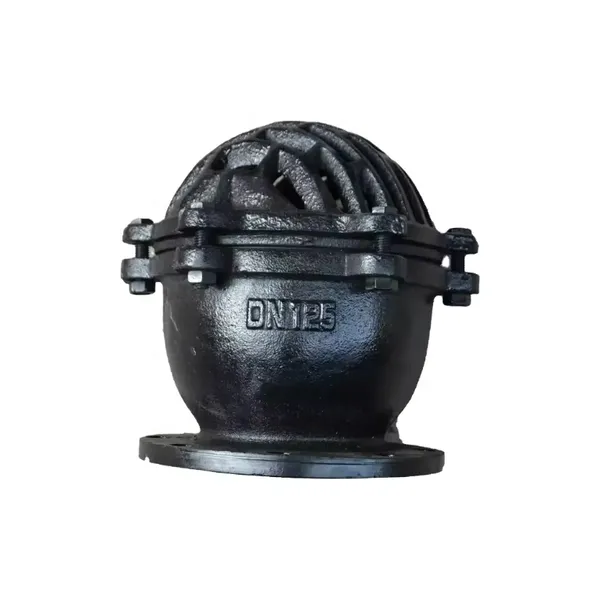 Gray Cast Iron Ductile Iron Flange or Screw Thread Foot Valve Bottom Valve Foot Valve for Water Pump