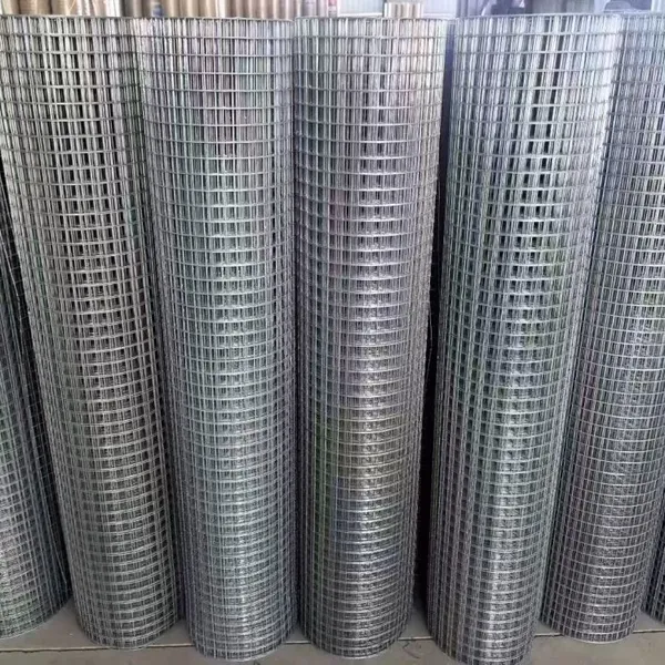Galvanized PVC Coated Welded Wire Mesh Roll for Animal Fencing and Enclosures