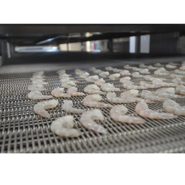 Ammonia 500kg/H Plate Frozen Tunne Belt Fluidized Icecrem Smallest Cooling Tunnel Iqf Shrimp Spiral Freezer Blast Frozen photo-6