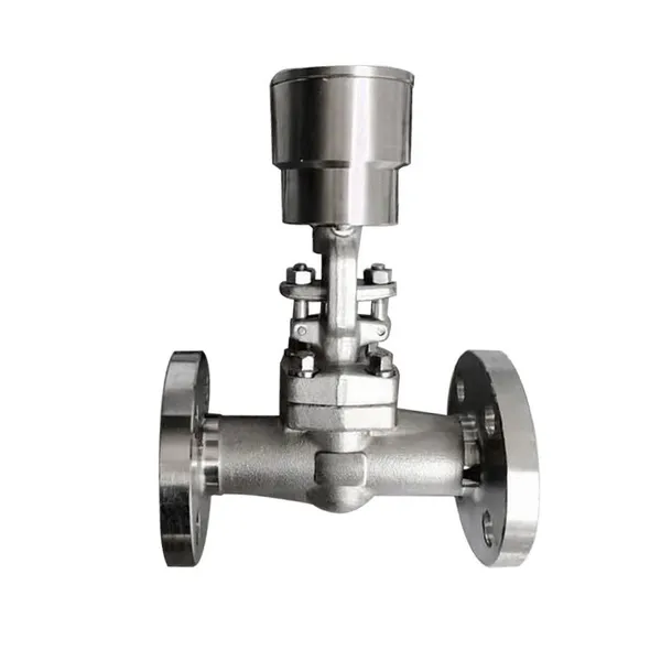Manufacturer Direct Sales of High-quality Lockable Stainless Steel Flanged Globe Valve photo-3