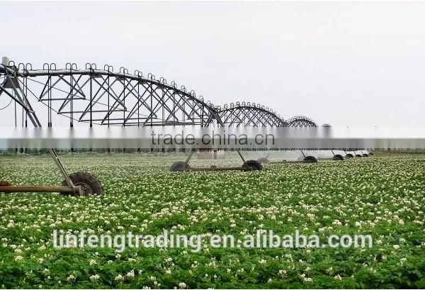 Linear Move Irrigation System/Lateral Irrigation Machine for Agriculture Moveable photo-3
