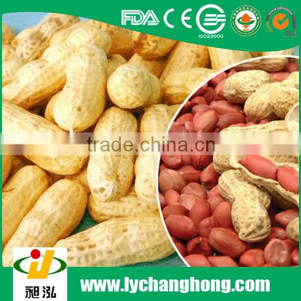 11/13 Size Peanut in Shell for Sale With Lowest Price photo-2