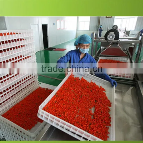 Goji Berry From China