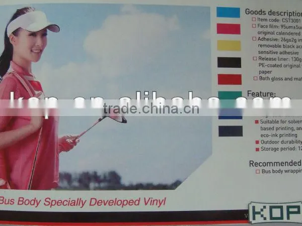Bus Body Specilly Developped Vinyl photo-2