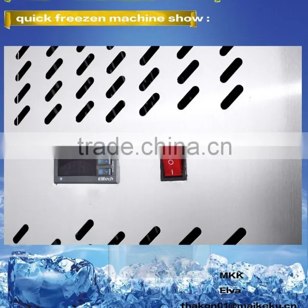 Rozen Ark Stainless Steel Two-door Big Production Can be Customized Seafood Frozen Ark photo-3