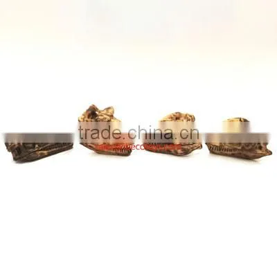 Dinosaur Skull Fossil Pencil Topper photo-3