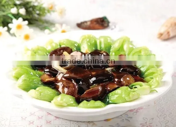 High Quality Mushroom photo-4