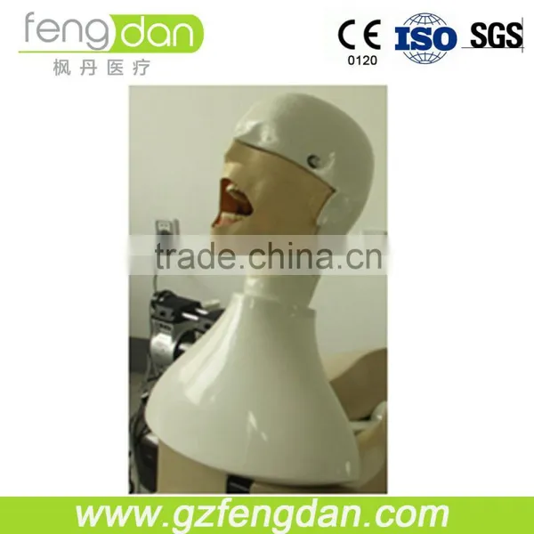 Dental Supply High Quality a Advanced Dental Manikin photo-2