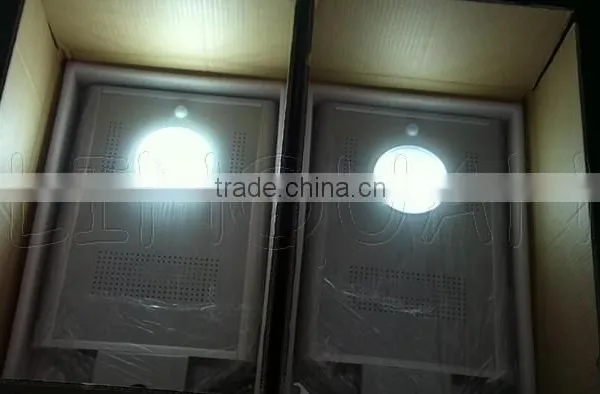 All in One Adjustable Poles Solar Street Light 8W photo-4