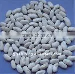 White Kidney Beans