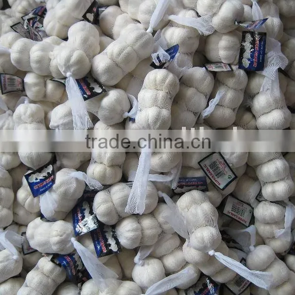 Chinese Fresh Garlic 2015 Garlic photo-3