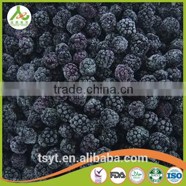 Asian Frozen Vegetables and Fruits Iqf Frozen Blackberry photo-4