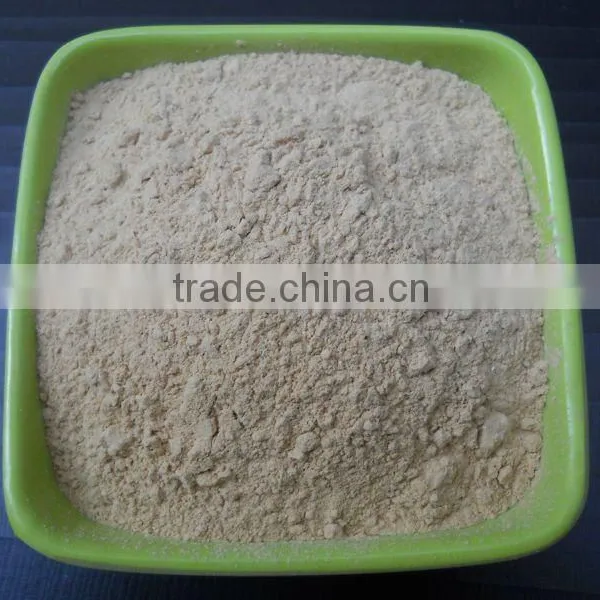 BEST WHITE GARLIC POWDER DRY FOR EXPORT photo-2