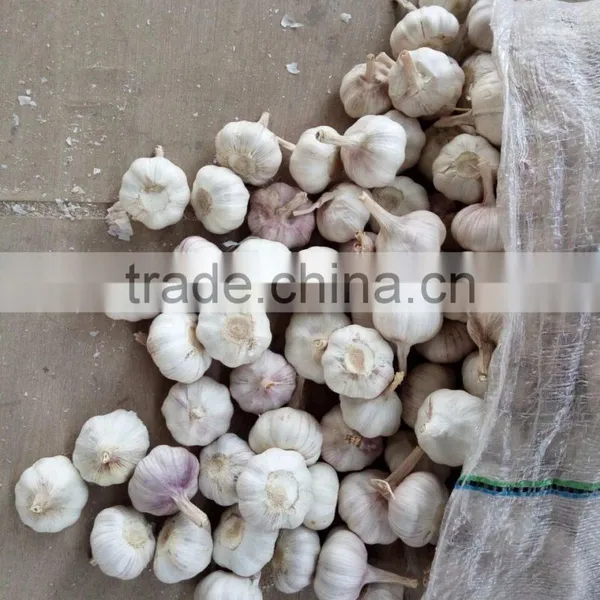 YUYUAN Brand Hot Sail Fresh Garlic Garlic Juice