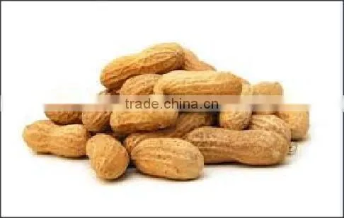 High Quality Export Pure Peanuts From Bangladesh
