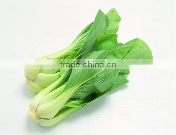 Automatic Leaf Vegetable Slicing Machine/vegetable Cutting Machine photo-3