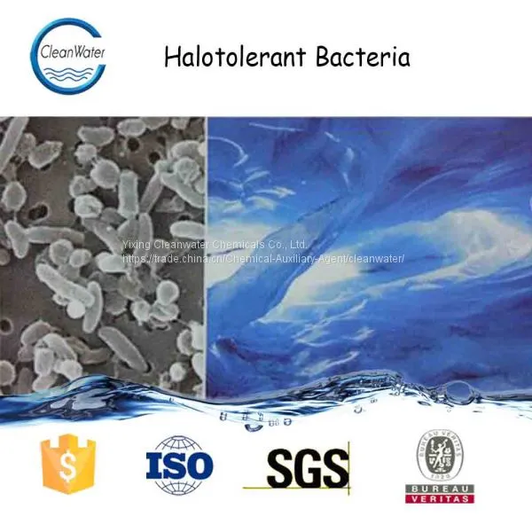 Halotolerant Bacteria