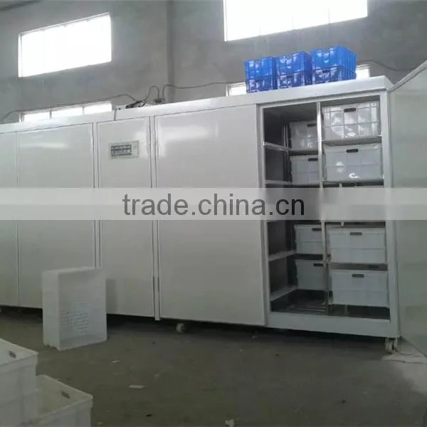 Hot Sale Green Mung Bean Sprout Machine photo-6