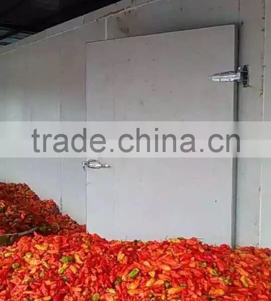 Commercial Vegetable Red Chilli Drying Machine photo-5