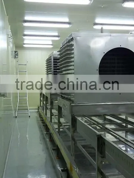 Beans Tunnel Freezer photo-3