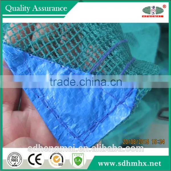 China Direct Factory/ High Quality / Longterm Usage-- Africa Areas Olive Net photo-3