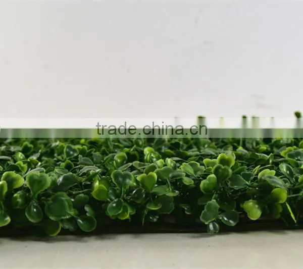 Guangzhou SHengjie Fireproof Milan Grass for Grass Wall Decoration photo-4