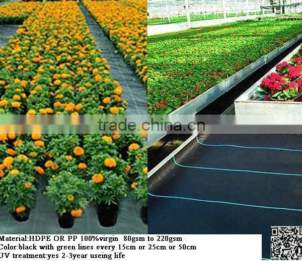 Subsoil Fabric photo-3