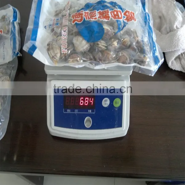 High Quality Vacum Packed Short Necked Clam photo-6