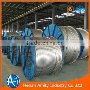 AISI ASTM BS DIN JIS High Tension 3.05mm High Carbon Galvanized Steel Wire EHS Cable photo-2