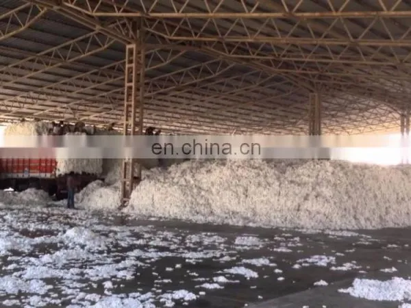 Indian Raw Cotton 100% Pure Cotton Shankar 6 C1% 2016-17 Crop 29mm 29gpt Strength 4-4.9mic 8.5%Moisture 3%Trash photo-4