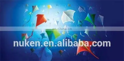 3D Stereo Photographic System for Lenticular Pictures photo-2